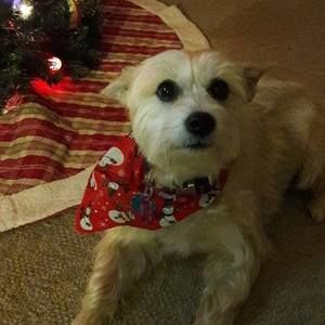 Meet your Posher, Barbara